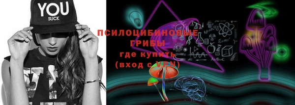 эйфоретик Верхний Тагил