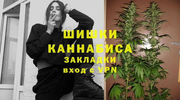 прущий лед Вязьма