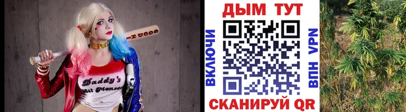 наркошоп  Ивдель  Бошки Шишки Bruce Banner 